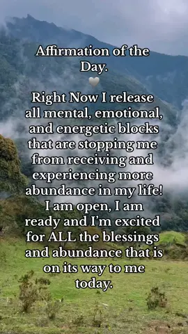 Place your hand over your heart, “Right Now I release all mental, emotional, and energetic blocks that are stopping me from receiving and experiencing more abundance in my life! I am open, I am ready and I’m excited for ALL the blessings and abundance that is on its way to me today.” #affirmation #gratitude #mantras #meditation #wordsofpower #mentalblocks 