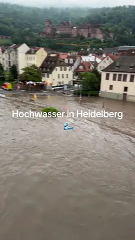 Hochwasser Heidelberg an der Alten Brücke 🌊 Updates folgen  #hochwasser #heidelberg #neckar #foryou 