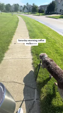 The best way to start a weekend! #slowliving #slowlivinglifestyle #weekend #dogmom 