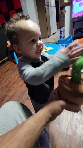 Toddler plays with Copycat Cactus #Pubity (mekatronjones via Bviral)