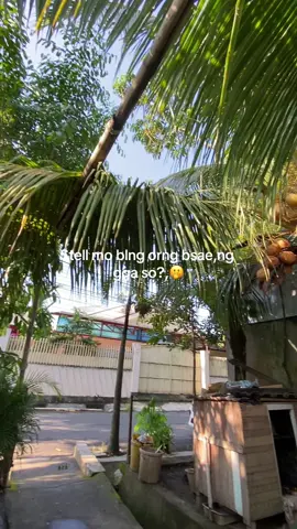 Upsay#manadopunya🔥 #patahiskal🔥 #katakatamanado🌴🌊 #manadosadap🔥 #quotesmanado #storywa #fyp 