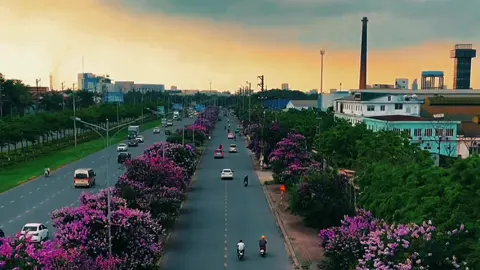 Màu tím của bằng lăng đẹp nhưng mà buồn 😔#banglangtim #CapCut #thatgirl #chill_nature68  #binhminh #sunrisemusic 