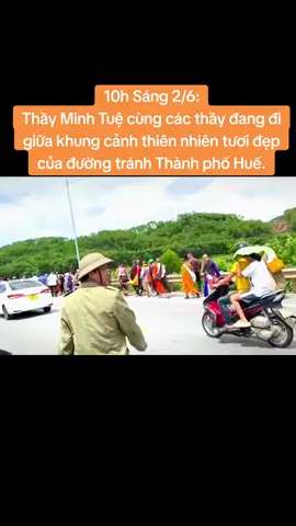 #thichminhtue #vietnam #adidaphat🌿 