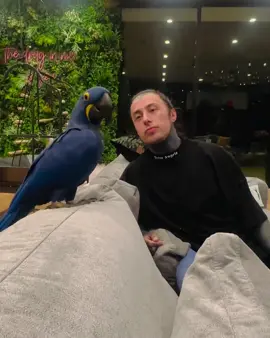 Ronnie Radke & Daisy ❤️ This video heals, I'm serious!! Better than a therapy session!! You're do damn sweet! Both of you! Tears me up! @ronnieradke  #ronnieradke #fallinginreverse 