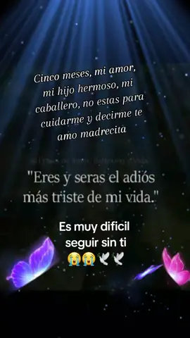 Perdón principe era yo no tú, tu debistes llevarme a ese lugar, te extraño mucho hijo mio #lutoeternohijomio  #mamaenduelo 