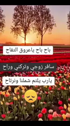 #فراق_الحبايب💔#حالات_واتس_حزينه💔#مجرد_ذووقツ🖤🎼 