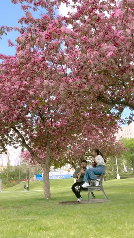 “You look a little tired, I think you should rest a bit.” 🎵 Littleroot Town Theme  📍Legislature, Edmonton 🎷 @Kingfkg  📷 @quincy_go 🌸🌸🌸🌸🌸🌸🌸🌸🌸🌸 #pokemon #ruby #sapphire #littleroottown #saxophone #sopranosaxophone #ukulele #songcover #blossoms #legislature #edmonton #spring #musician #musiciansoftiktok 