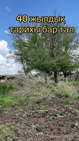 Осымен бітті