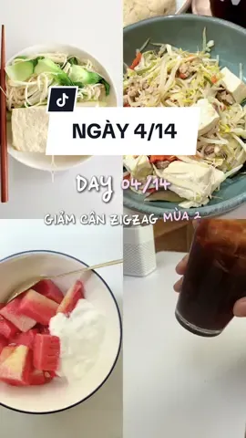 |GIẢM CÂN ZIGZAG MÙA 2| - NGÀY 4/14 #giamcan #giamcanantoan #thamhutcalo #fyp #fahu_diary #xuhuong #eatclean #dietvlogs #eatclean 