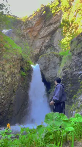 Bro had to reconnect🍃 #nature 