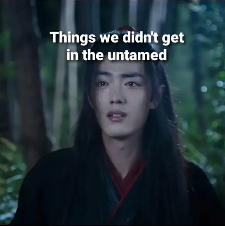 things we didn't get in the untamed 😔 #theuntamed  #theuntamed陈情令  #weiying #weiwuxian  #lanzhan  #lanwangji #wangxian  #mdzs #xiaozhan  #wangyibo 