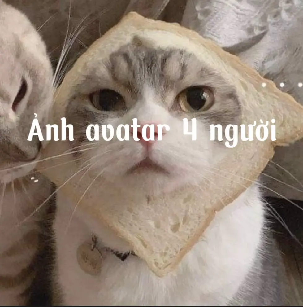 Ảnh avatar 4 người lè👀