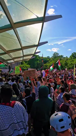 Thousands flood brooklyn and shut down the Brooklyn Museum for failing to divest from Israel. 