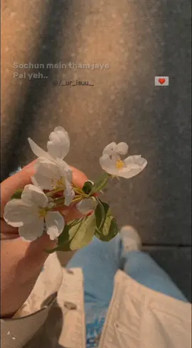 ~`Jene laga hoon... pehle se jada.. pehle jada.. tumpe marne laga hoon..😫🌸✨😩. ... . . ... . . . . . . . . . . . . . .#fyrpシ #viral #foryoubdofficial #foryoupage🌸🌼 #foryoupage🌸🌼❤️ #Lagaforyou #Lagaforyou #Lagaforyou #virallllllllllllllllllllllllllllllllllll #tiktokedit #instagram #lagaforyou #viral #viralllllll #viralllllllllllllllllllllllllllllllllll 
