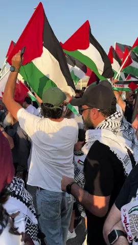 أرفع صوتك لكل عميل  لن تنفعكم اسر|ئيل يسقط يسقط التطبيع