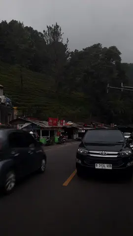 ✨#puncakbogor #puncakpass  #fyp 