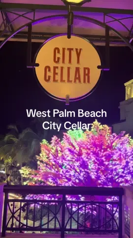 join me for a night in West Palm Beach at City Cellar #westpalmbeach #cityplace #datenight 