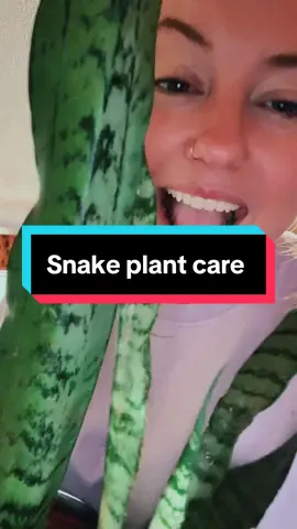 This plant mama loves her new plant light 😍 thank you Sansi !!!! #sansi #plantsoftiktok #snakeplant #plantlight #growlight #plantcare #plantmomaesthetic #plantmom 