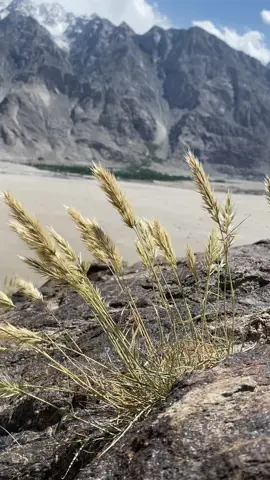 #yasirnasiri #windsoundsforsleeping #desert #colddesertskardu 