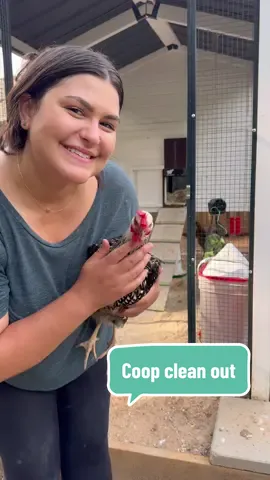 Chicken coop clean out day 💚 #gardentok #chickentok #urbanhomesteading #homesteading #gardeninspiration #chickenlove 
