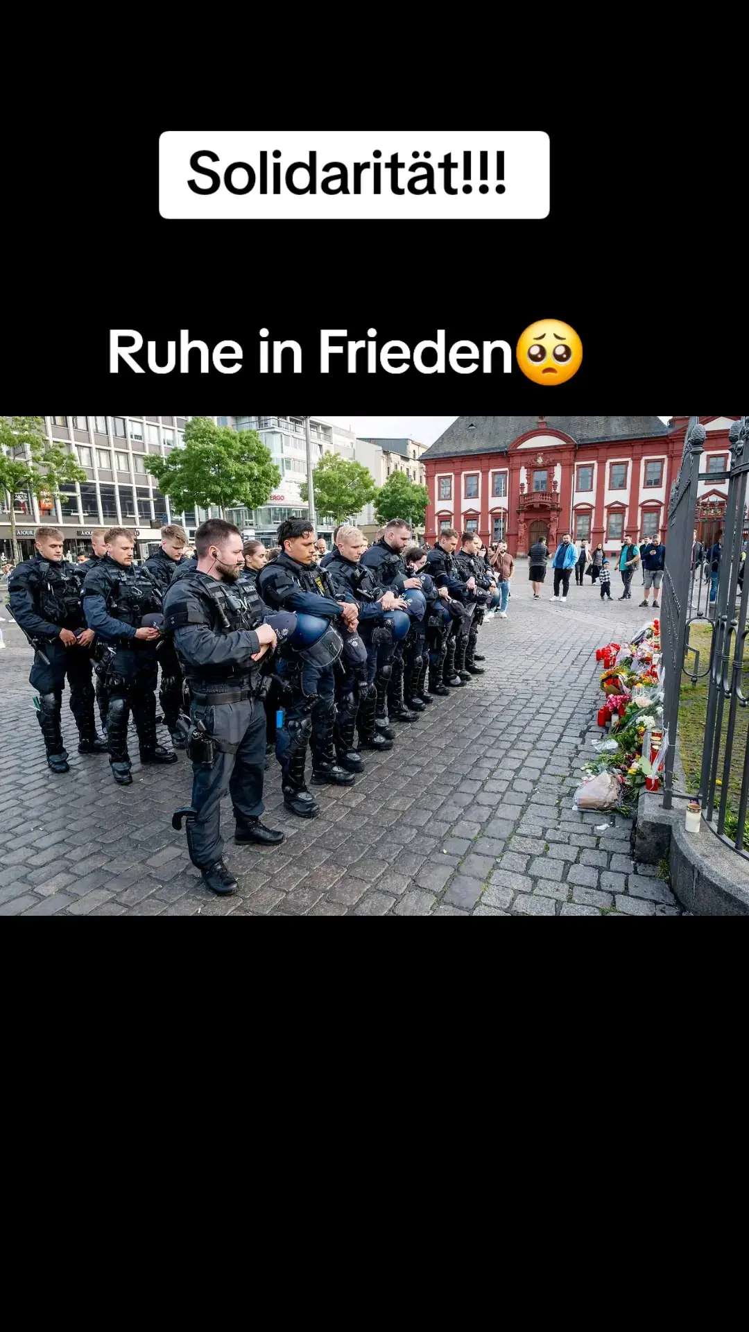 #viral #fürdich #fyp #foryou #polizist #mannheim #silidarität #michaelstürzenberger 