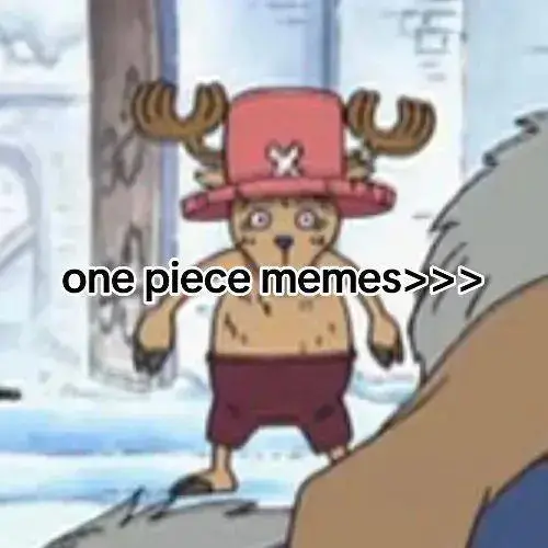 #onepiece #meme #slideshow #fyp 