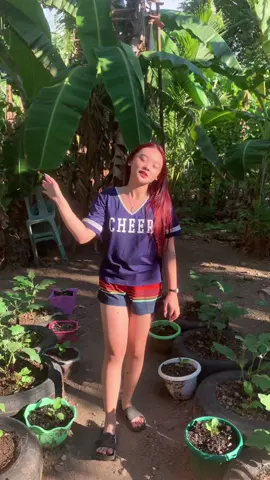Ganyan kasimple ang buhay ni mich!@ⓘIska @Norlyn 🤍 @Ur matcha gurl 🤪 @Mich @𖦁CarlaMae⭒ 