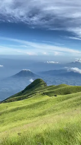 the beauty of the Merbabu savanna🥰  #merbabu3142mdpl #merbabuviasuwanting #pendakigunung #pendaki #pendakigunungindonesia #fyp #fypシ゚viral #merbabu #for #fypage #explore #ayokemerbabu #andong #ungaran #sumbing #prau #sindoro #telomoyo #dieng #sabana #savanna #lovestoryorchestra 