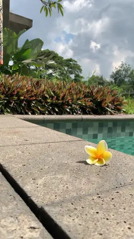 happy monday everyone 💚✨️ #jogjaistimewa #yogyakarta #westlake #penginapanjogja #viraljogja #fyp #westlakeresort #jogja24jam #jogja #hotel #hoteljogja #explore 