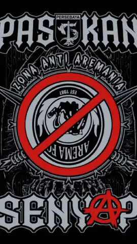 pasukan anti arema#persebaya #bonekwani #antiaremania🦁❌ #zonaantiaremania #pasukansenyap #bonekantigedor👊🐊 #antiaremasupecundang 