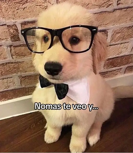 #fyp #humor #frasesdeamor #frasesparadedicar #foryou #frasesbonitas #parejas #amor #foryoupage #viral 