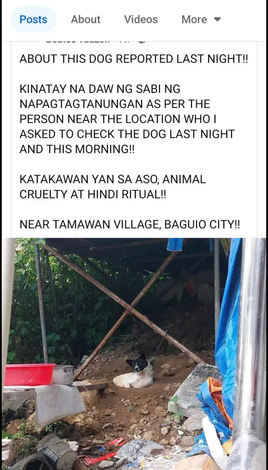 Shout out Philippine Animal Welfare Hindi niyo ba aaksyonan tong kasong na kinatay ng mga construction worker, kailan kayo gagalaw pag viral na... Malinaw na animal cruelty galaw galaw. papanagutin niyo Ang lahat ng taong involve dito...