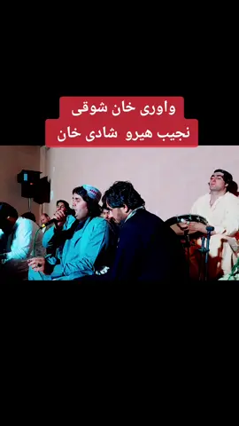 دہ نجیب ھیرو خان شوقی  شادی خان  دہ برائے ماشاء  پروگرام وگوری 