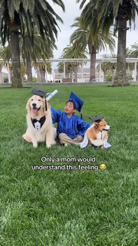 I am not sure if maui and ruby will still be around for his next graduation so this really hits me hard #goldenretriever #corgi #dogsiblings #kindergartengraduation 