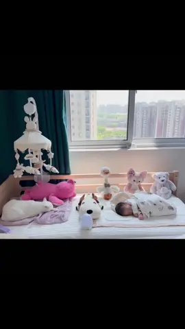 #cat #kitty #cats #asmr #adorablecat #catlover #кошка #cutecat #catoftiktok #pet #cute #meow #funnyvideos #แมว #kat #고양이 #котики 