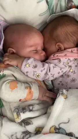 Twins hug🤗🥰😍#twins #babyfever #baby #Love #Newborns #Newbirths #fyp #viral 