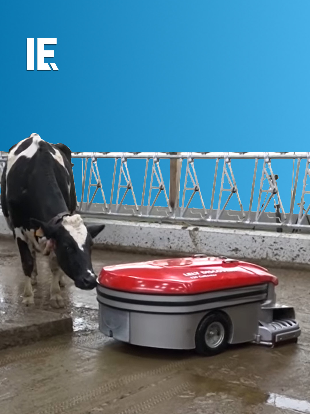 Regular manure collection is crucial in modern cattle farming. It improves the quality of life for cattle, but also maximizes the profit from manure. The Lely Discovery 120 collector works like an automated manure vacuum. #CattleFarming#ManureManagement#LelyDiscovery120