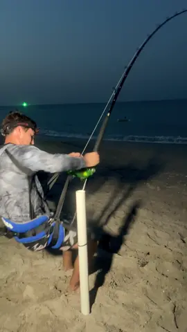 Setting The HOOK Into Massive Shark?!? @JUNO BRANDON @Brookeeryan  #thefishermeng #fishing #southshore #bunker #shark #sharkfishing #beachlife #sunrise #snook #snookfishing #snookcatching #largemouthbass #carp #carpfishing #nyfishing #nyfishingcharters #lbsf #landbasedsharkfishing #blacktip #blacktipshark #hammerhead #floridafishing #bigshark #sharkattack #beachsharkfishing #floridasharkfishing #floridasharks #bullshark #hammerheadshark #westpalmbeachnails