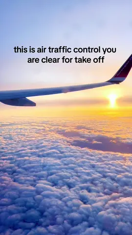 #aviation #cabincrewstories #cabincrewgirls #views #airplaneviews 