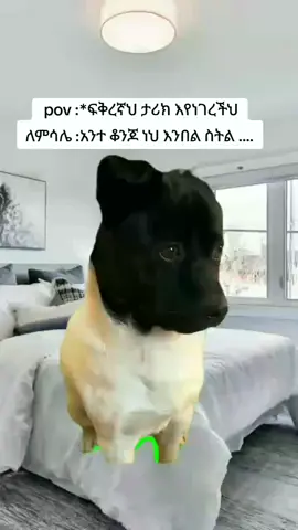 ወንድ ልጅ ከጉማሬ መለስ ካለ በቂ ነው  እህቴ 😭😭😭 #foryoupage  #viral  #unfrezzmyaccount 
