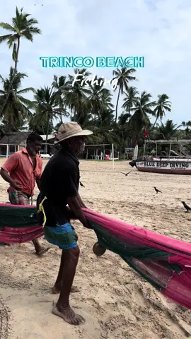 Witnessed fishing on  📍Trinco beach guys 🐠it was very impressive 🙏🏽#travelsrilanka #tamiltiktok #trincomalee #tamilvlog #srilankatravel #trinco #trincomaleesrilanka #fyp #tamilwhatsappstatus #srilankan_tik_tok #foryou #fishingtiktoks #srilankatrip #srilankafishing #tamilsrilanka #discoversrilanka  #malaysiatiktok  #CapCut 