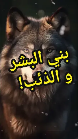 بني البشر و الذئب!  وفاء الكلب و غذر الذئب !؟ #trending #explore #personality #samiha13 #tiktok #fypシ゚viral #foryoupage #tik_tok #foryou #خواطر 