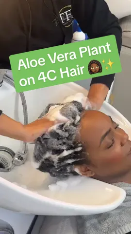 This is the healthiest my hair has ever been! Hoping #aloeveragel really takes it to the next level! Will keep yall posted on my progress 👩🏾‍🦱🌿 #aloevera #aloegel #4chair #4ctiktok #aloeveramask #aloehairtreatment #aloehairgrowth #hairgrowthtips #hairgrowthjourney #blackhaircare #4chairclub 