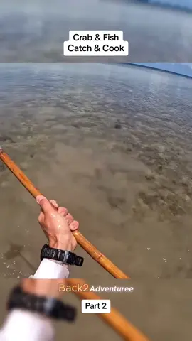 Part 2 #survival #Outdoors #catchandcook #crab #fishing #viral #fyp 