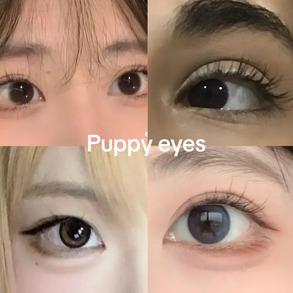 Cat eyes and sleepy eyes>>>>> - #prettyeyes  #haerinism #wonyoungismaccount #wonyoungism #eyes  #glowuptips #fypp #wonyoungismfyp #fypシ゚viral #glowups 