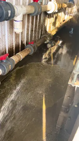 How every morning seems to start. #shitshow #poop #cows #operator #greenenergy 