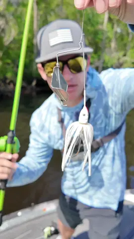 Topwater buzzbait fishing the river 🔥 What should I throw next?! #fishing #bassfishing #river #riverfishing #topwater #topwaterfishing #buzzbait #fishingvideos #fyp #kickintheirbasstv 