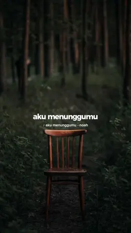 harus berapa lama aku menunggumu 🥀 #akumenunggumu #noah #peterpan #ariel #trending #lirik #4u #fyp #sadvibes #sadstory #CapCut 