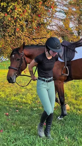 miss riding my mare #equestrian #mare #hearthorse 