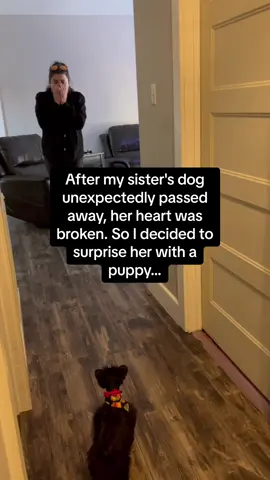 The little boy greeting the puppy at the end was so cute 😭😭😭 #RoadTo15Million #Pubity  (Mary T. Wilson via ViralHog)